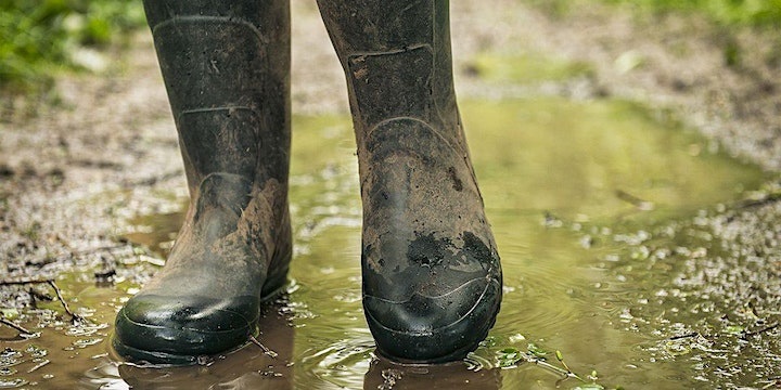 What's On - Mugdock Park